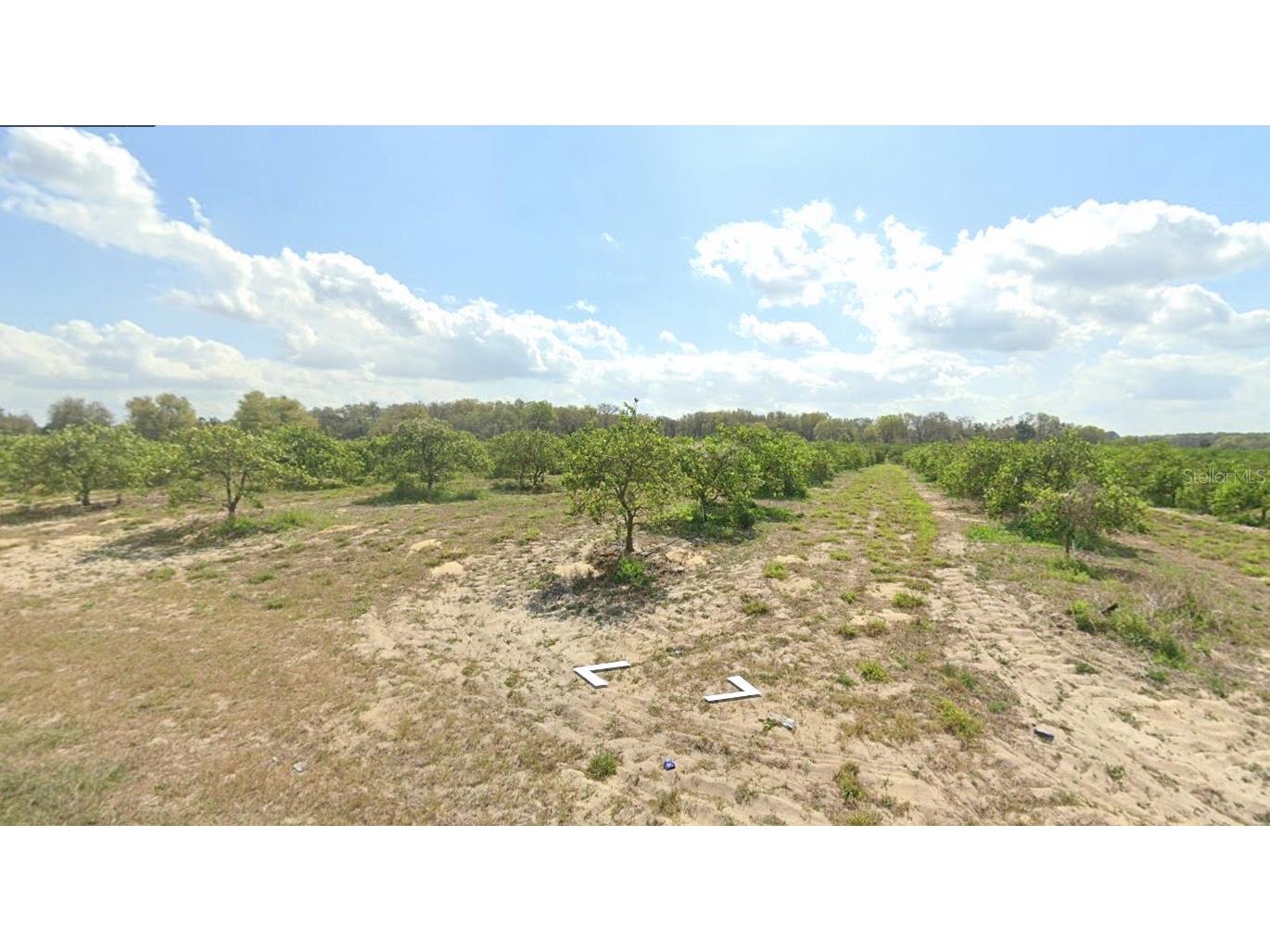 Peru Road Umatilla FL 32784 - LAKE OWEN O6170333 image5