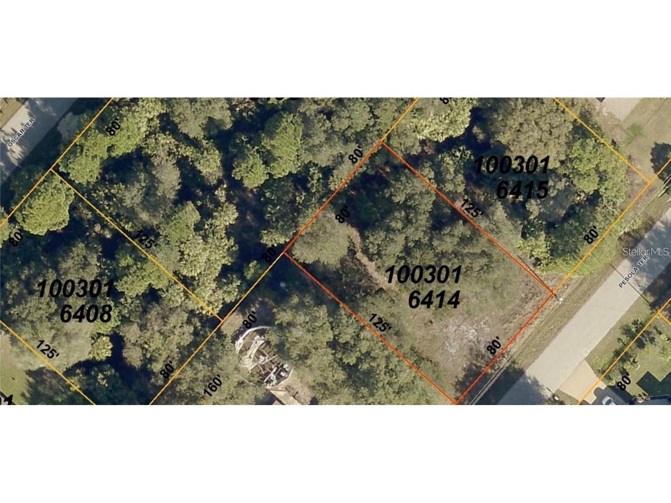 Pesola Terrace North Port FL 34286 A4651206 image3