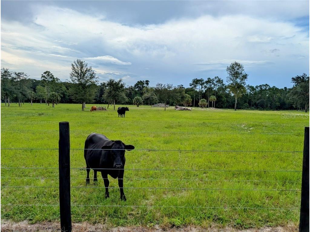 Peterson Road Pierson FL 32180 R4909678 image6