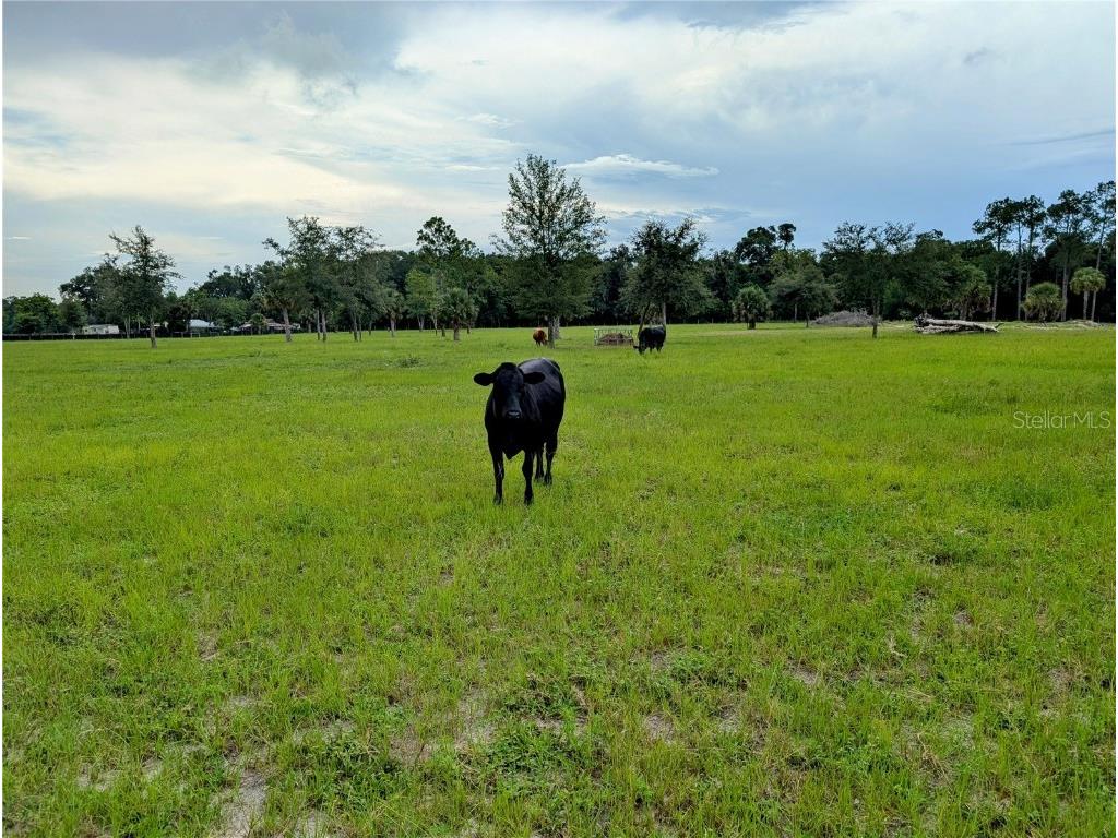 Peterson Road Pierson FL 32180 R4909678 image7