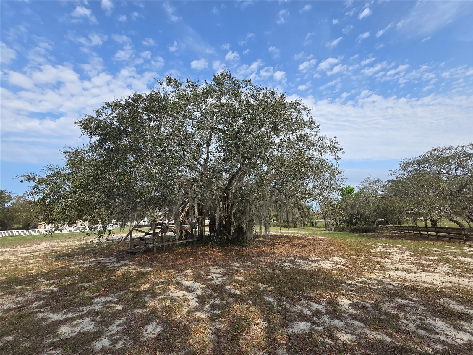 Petes Lane Davenport FL 33837 S5146018 image15