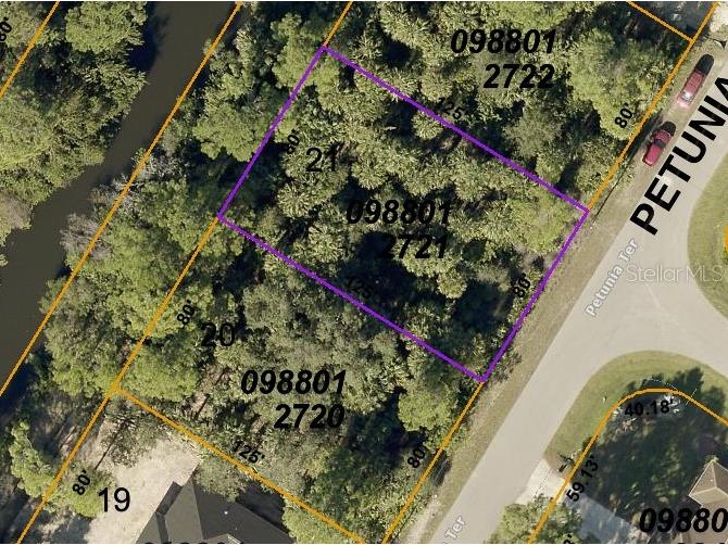 Petunia Terrace North Port FL 34286 N6125562 image1