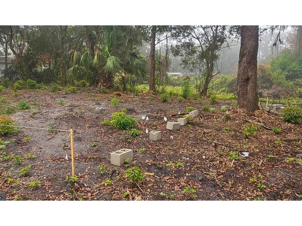 Pevetty Plant City FL 33563 TB8460508 image10