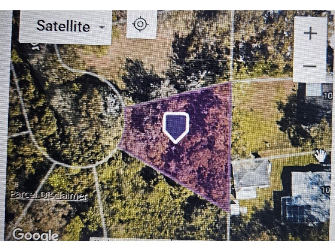 Pevetty Plant City FL 33563 TB8460508 image11