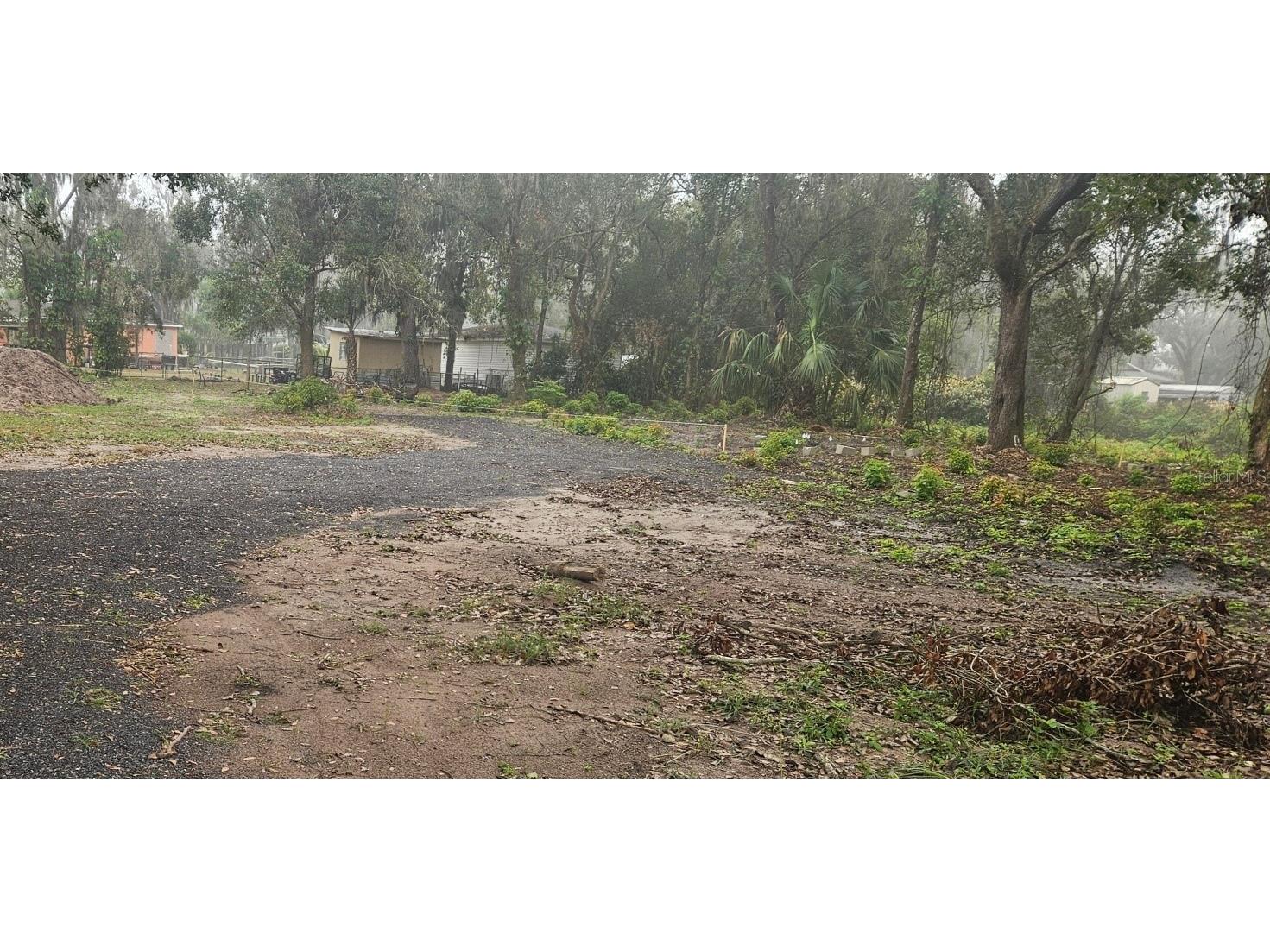 Pevetty Plant City FL 33563 TB8460508 image2