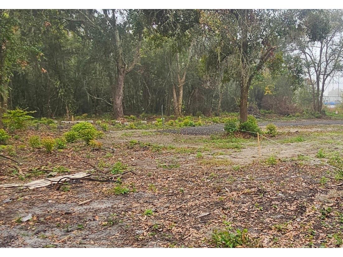 Pevetty Plant City FL 33563 TB8460508 image4