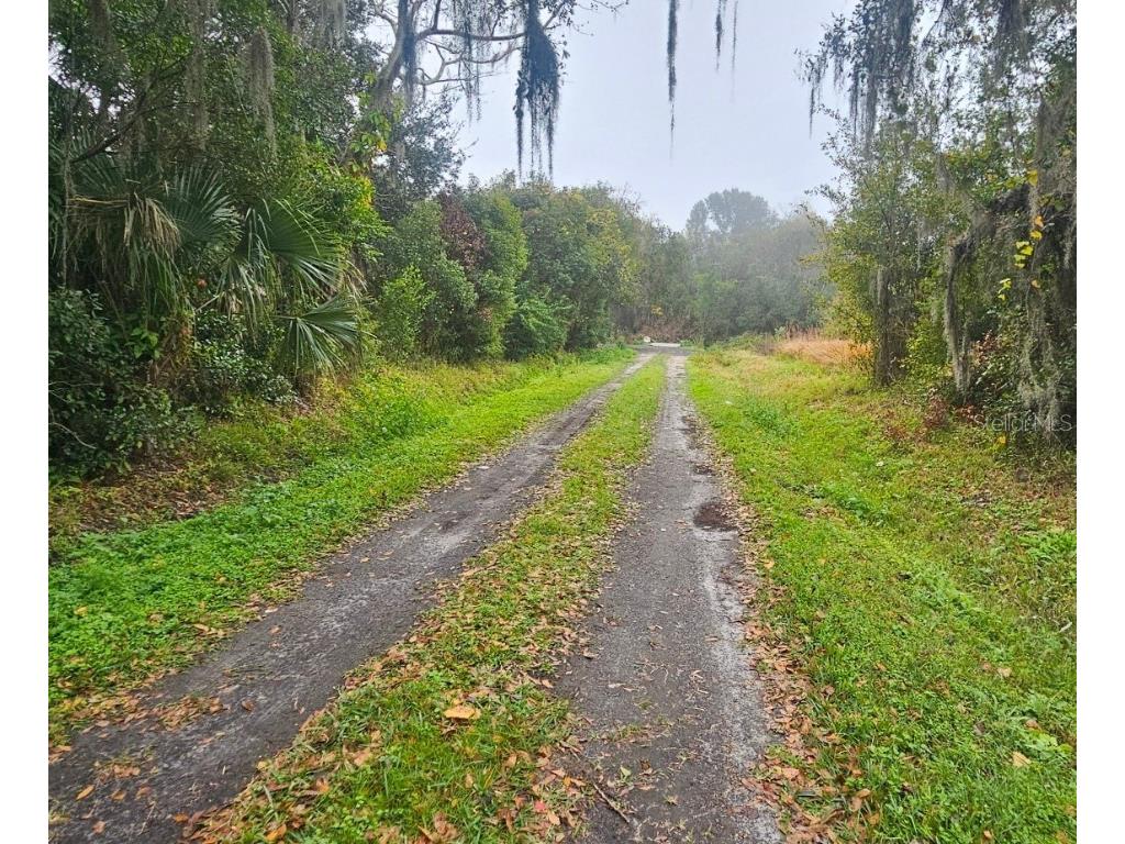 Pevetty Plant City FL 33563 TB8460508 image5