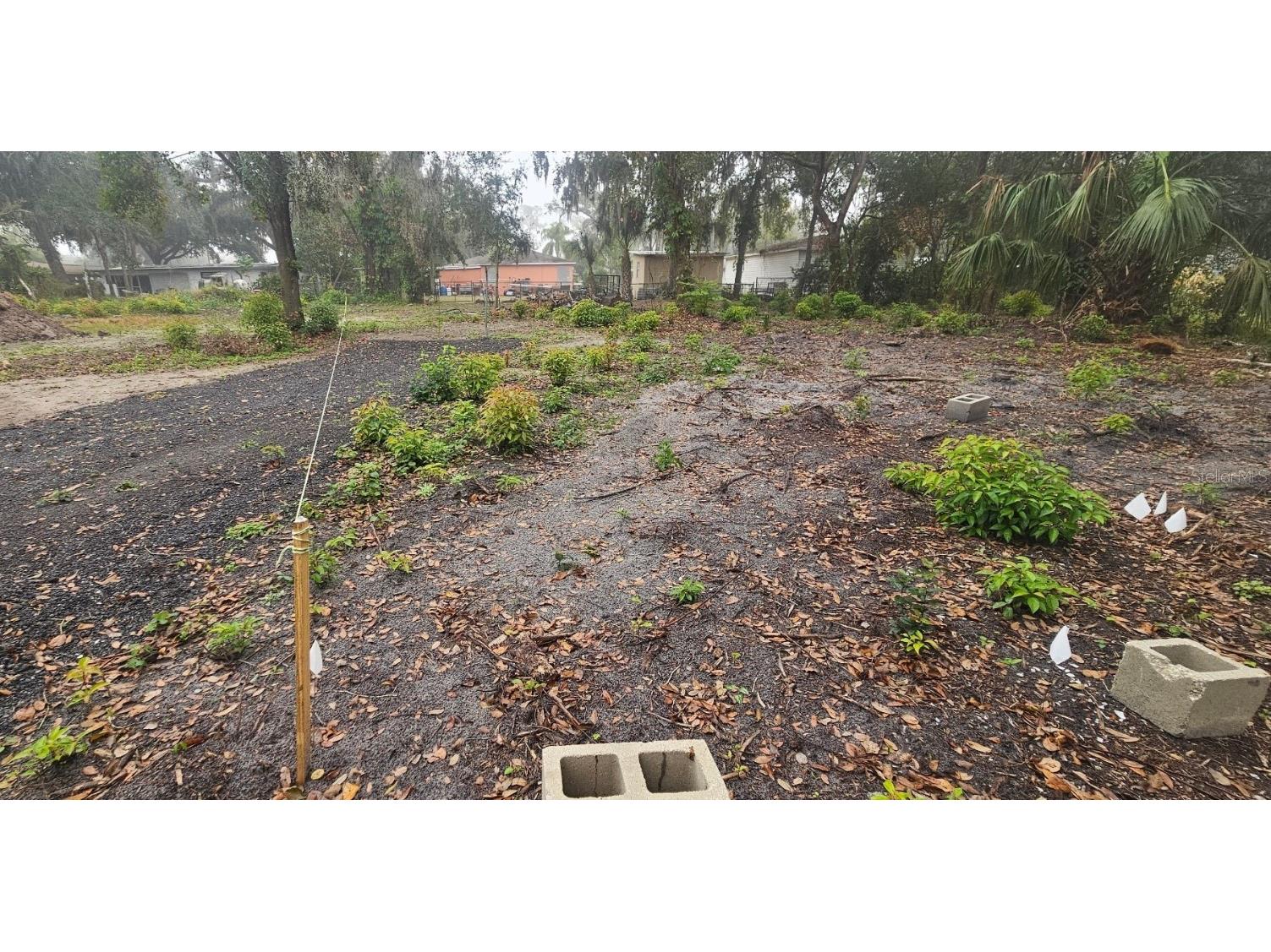 Pevetty Plant City FL 33563 TB8460508 image6