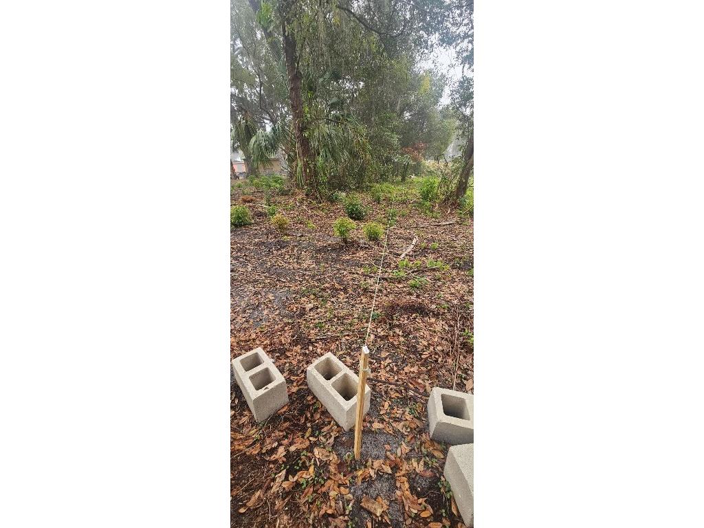 Pevetty Plant City FL 33563 TB8460508 image8