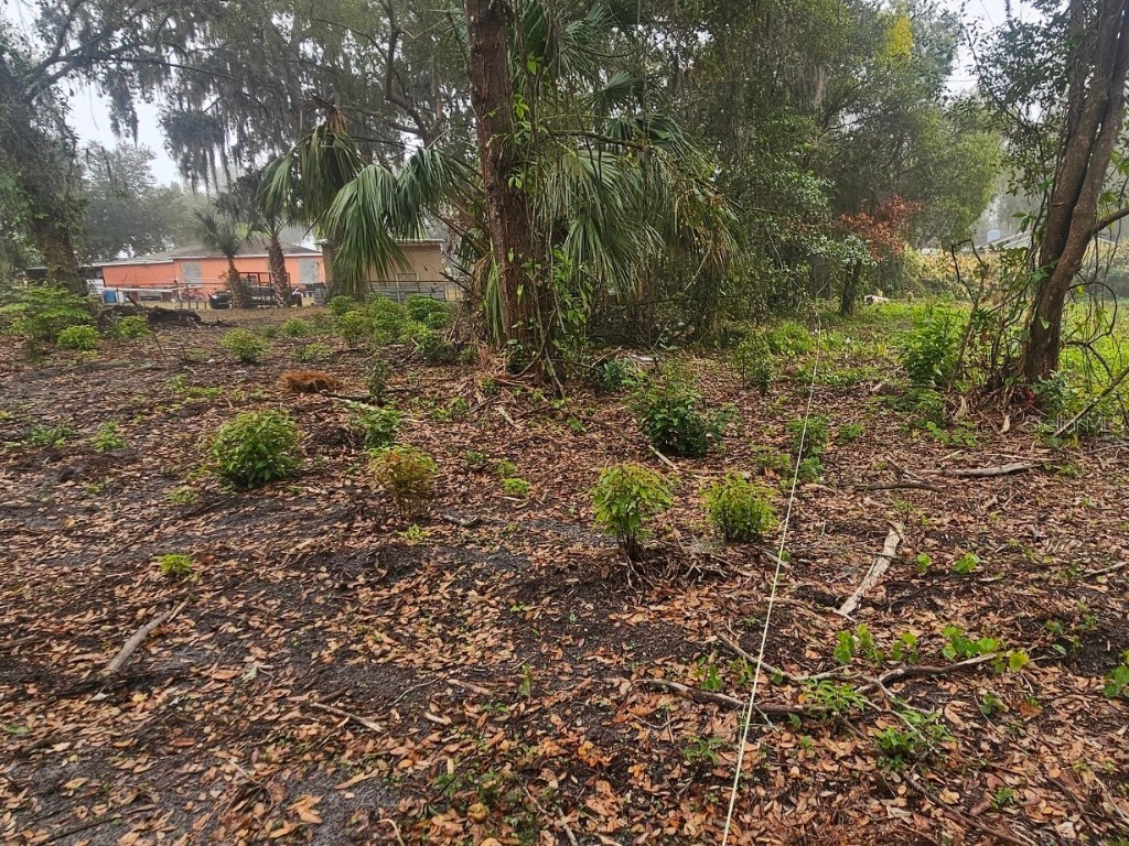 Pevetty Plant City FL 33563 TB8460508 image9