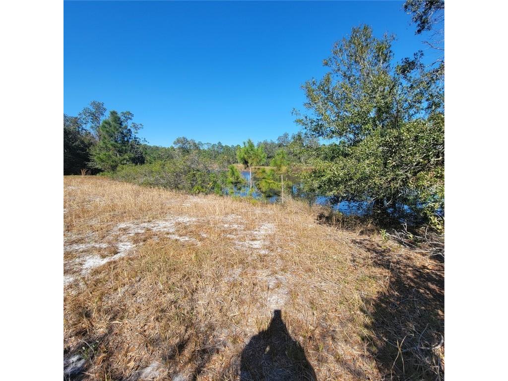 Pfundstein Road Babson Park FL 33827 L4949820 image1