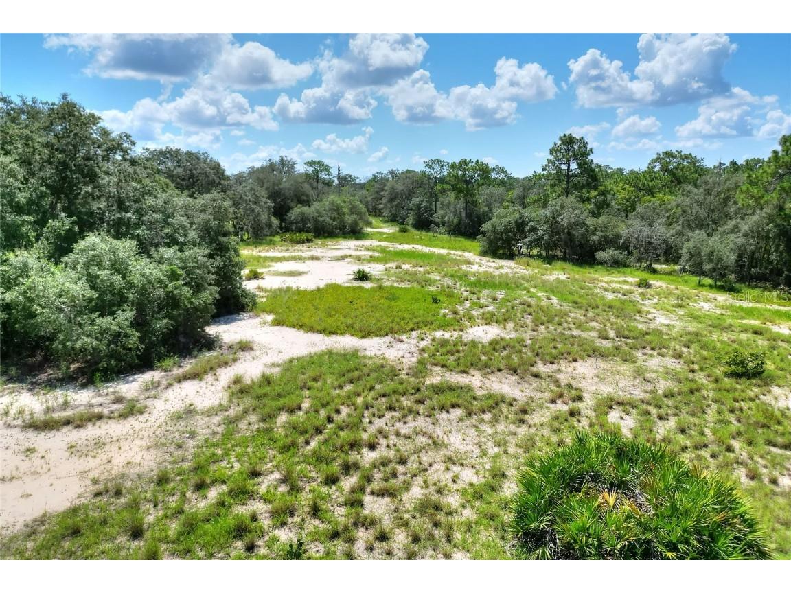 Pfundstein Road Lake Wales FL 33898 T3552251 image5