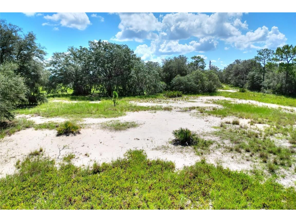 Pfundstein Road Lake Wales FL 33898 T3552251 image6