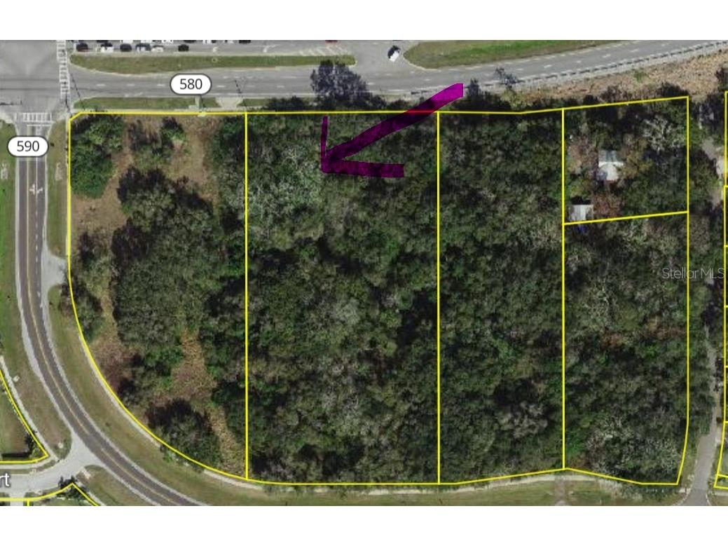 Philippe Safety Harbor FL 34695 TB8427080 image1