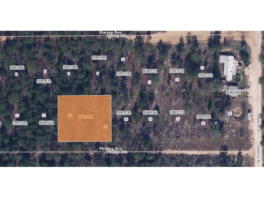 00 Phillips Avenue Interlachen FL 32148 OM626204 image1