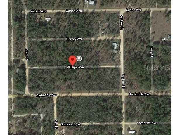 00 Phillips Avenue Interlachen FL 32148 OM626204 image2