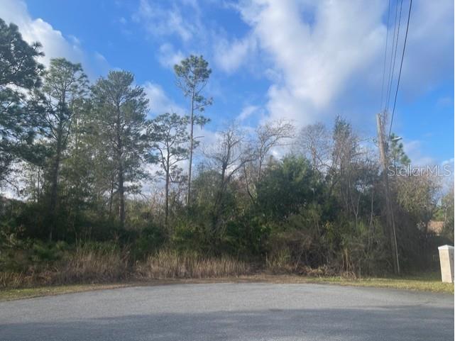 Phoebe Court Weeki Wachee FL 34614 TB8463980 image1