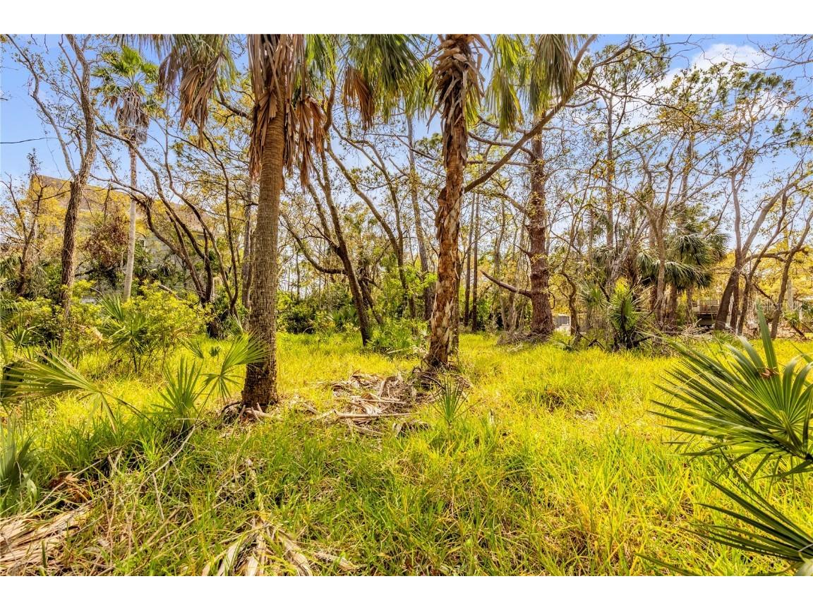 Phoenix Avenue Oldsmar FL 34677 S5121660 image10