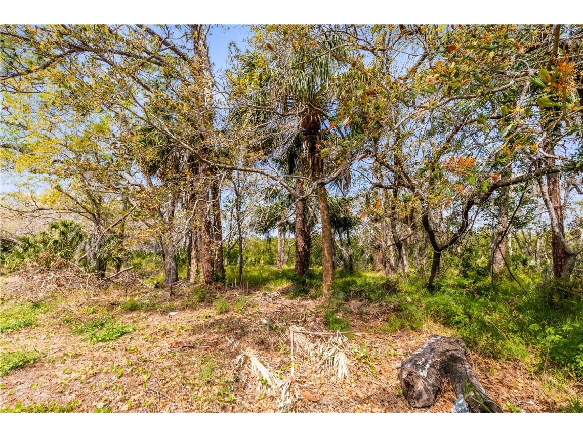 Phoenix Avenue Oldsmar FL 34677 S5121660 image7