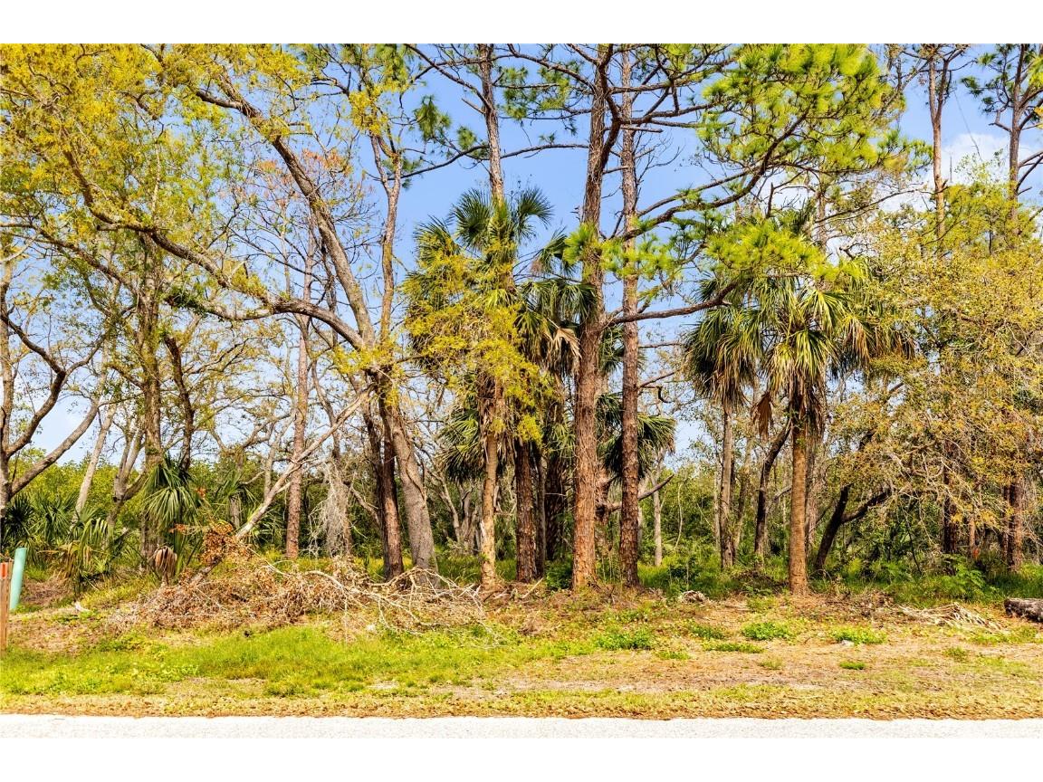 Phoenix Avenue Oldsmar FL 34677 S5121660 image8