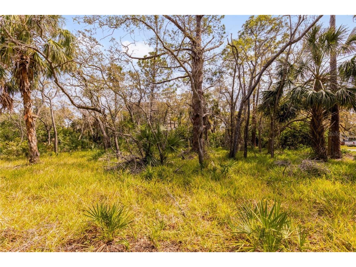 Phoenix Avenue Oldsmar FL 34677 S5121660 image9