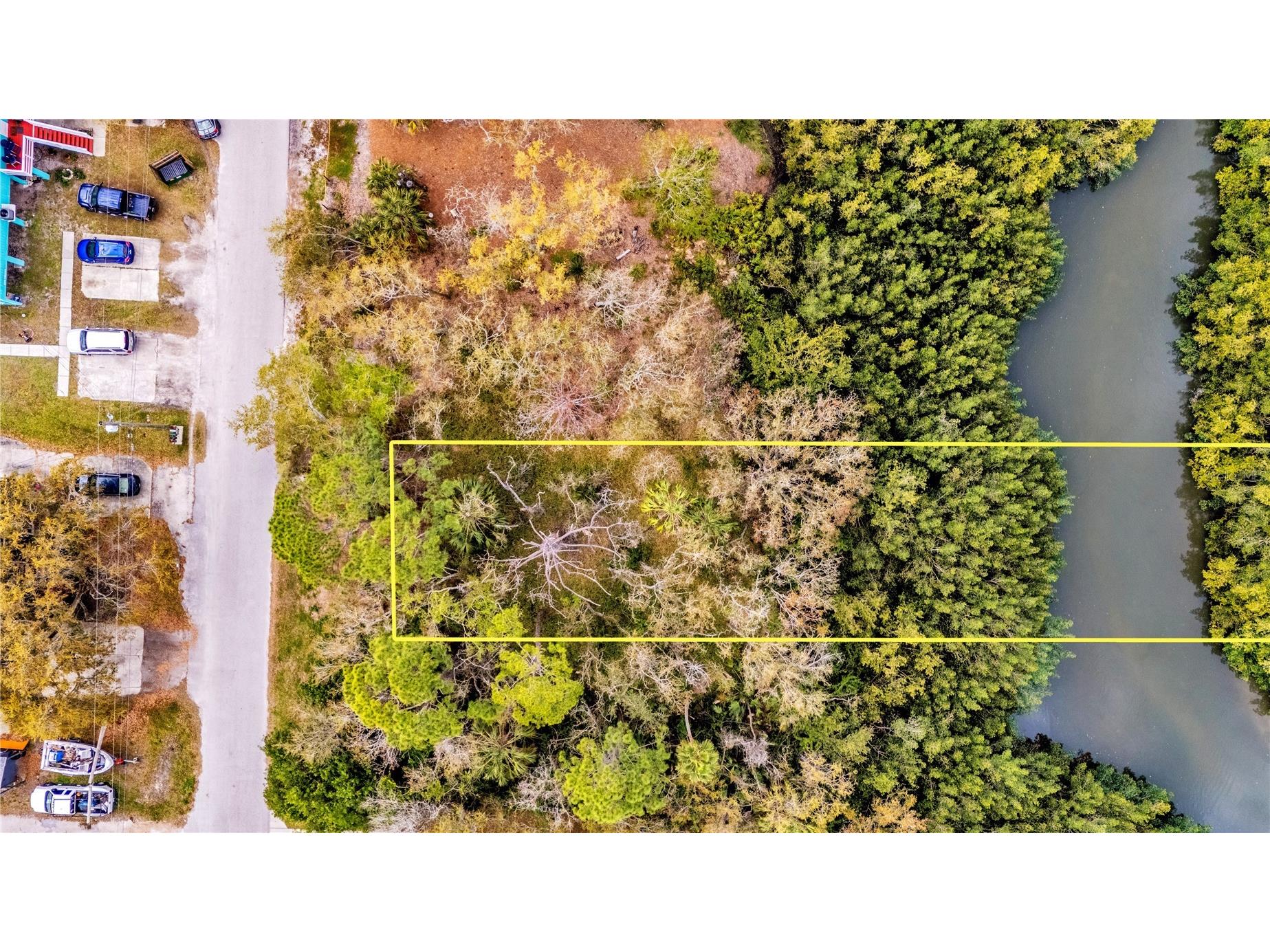 Phoenix Avenue Oldsmar FL 34677 S5149116 image1