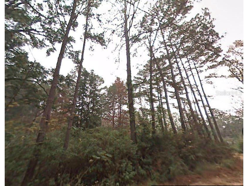 Pichard Drive Tallahassee FL 32311 A4697734 image2