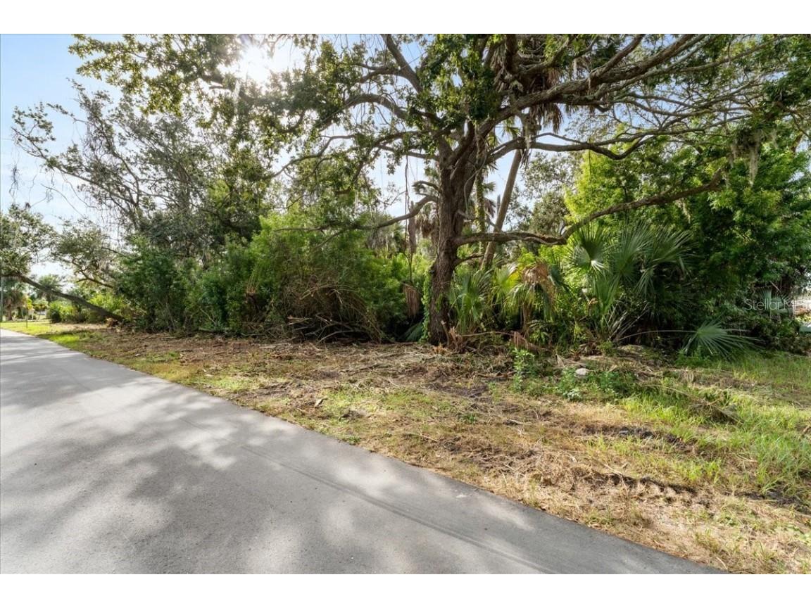 Pier Road New Port Richey FL 34652 TB8445032 image1