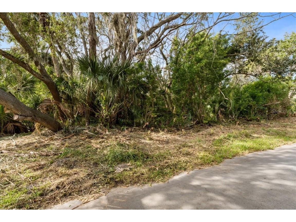 Pier Road New Port Richey FL 34652 TB8445032 image2