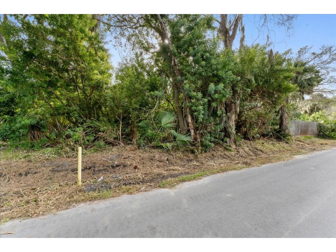 Pier Road New Port Richey FL 34652 TB8445032 image4