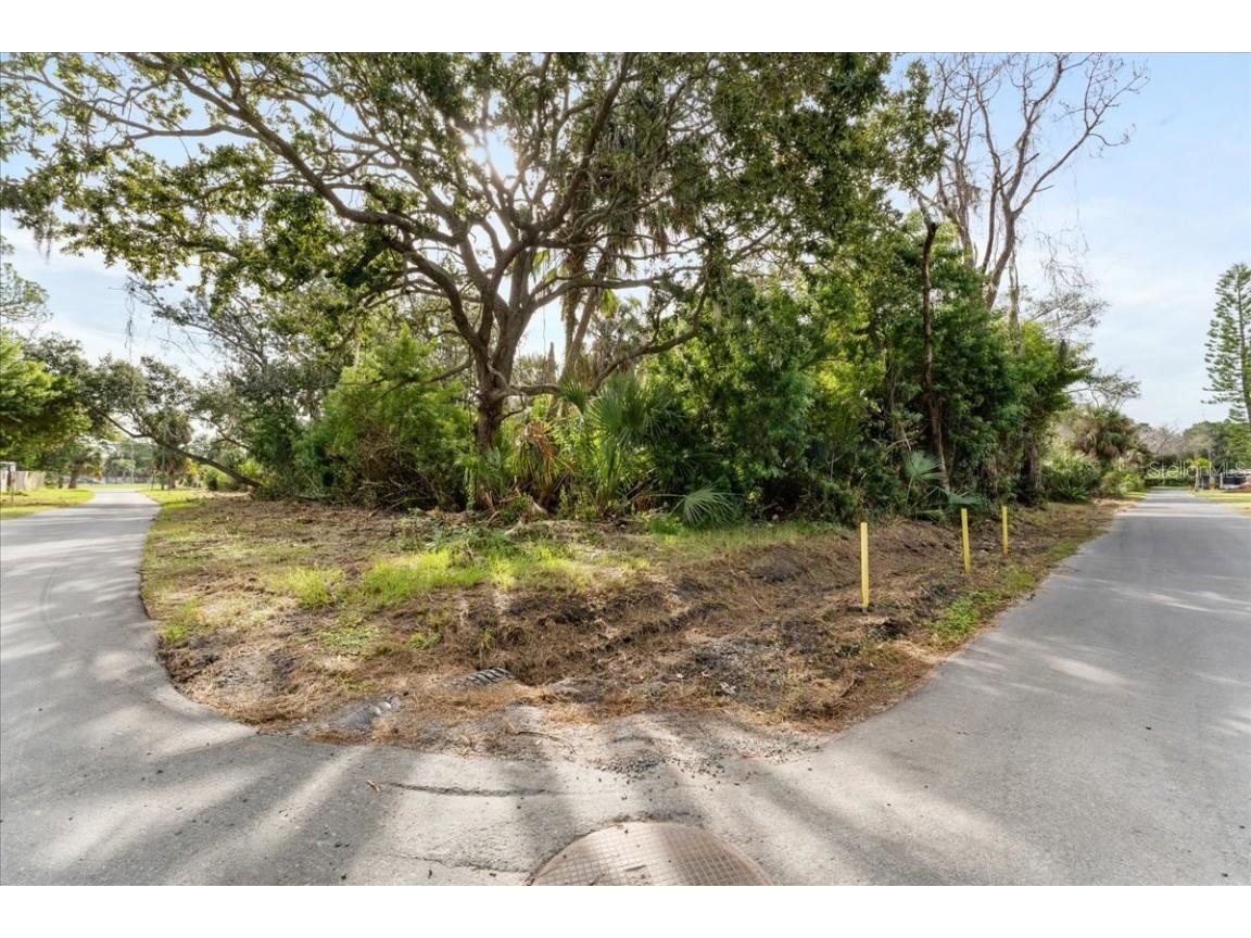 Pier Road New Port Richey FL 34652 TB8445032 image6