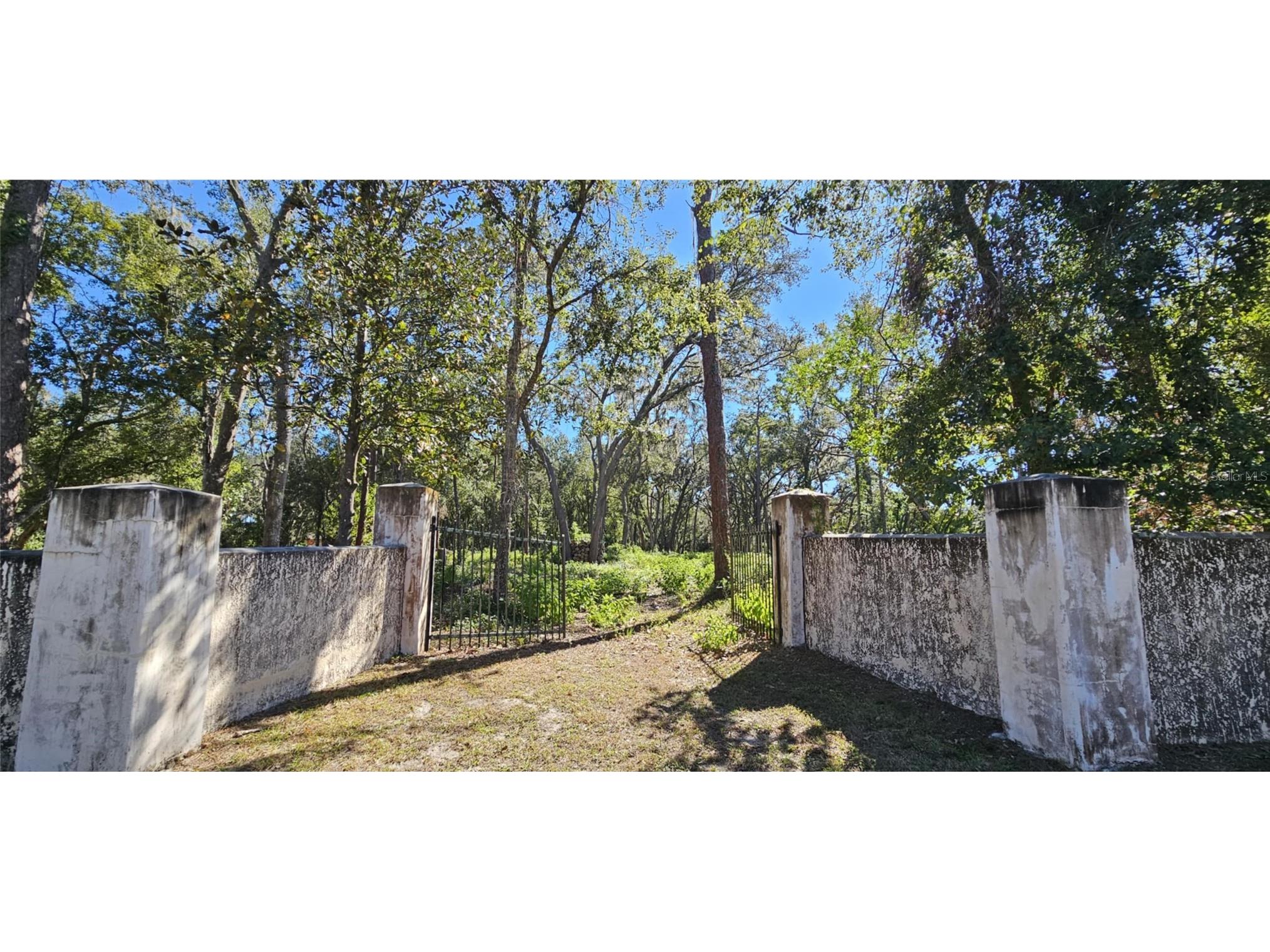 Piermaj Lane Lutz FL 33549 TB8492829 image1
