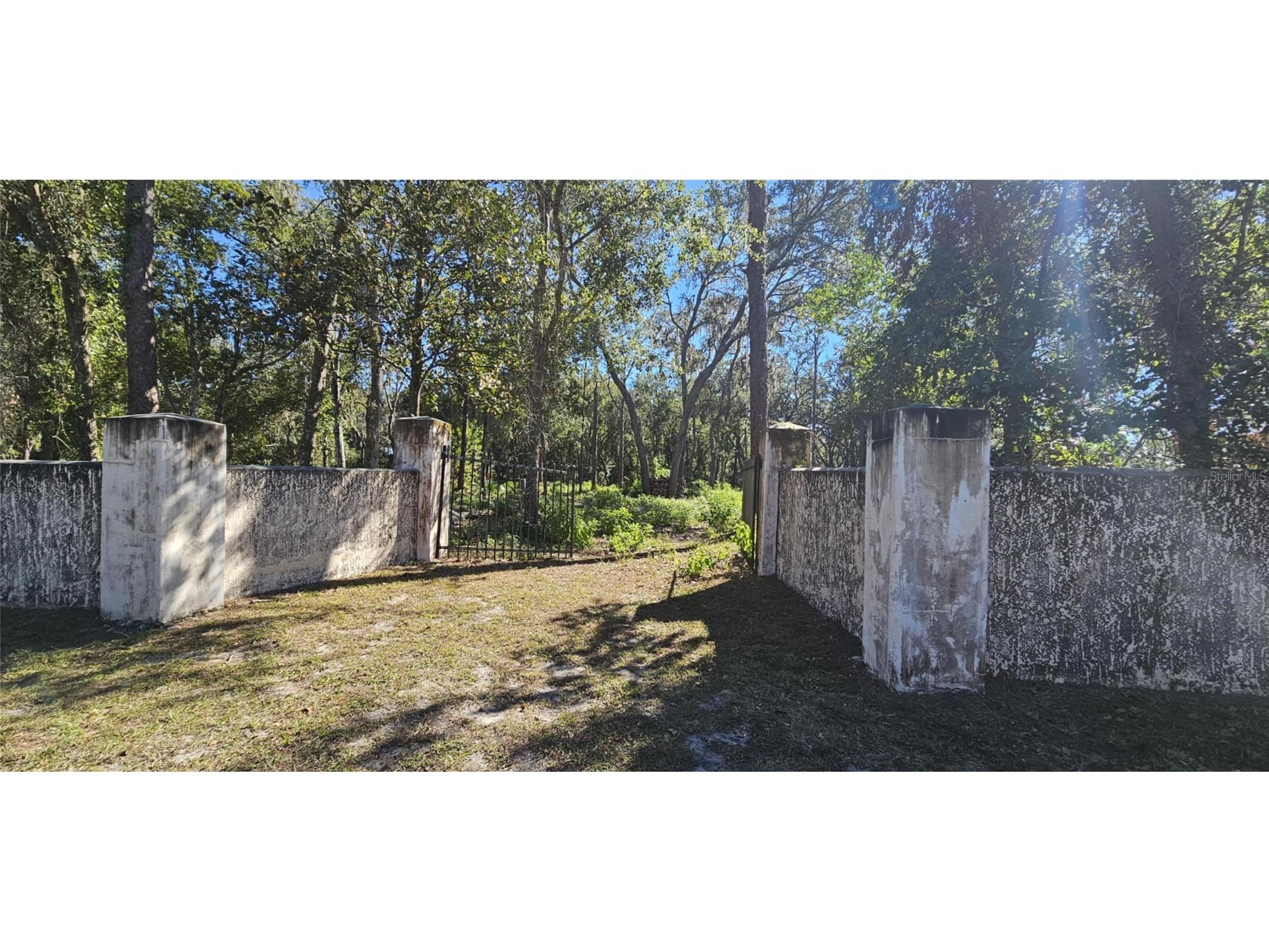 Piermaj Lane Lutz FL 33549 TB8492829 image12