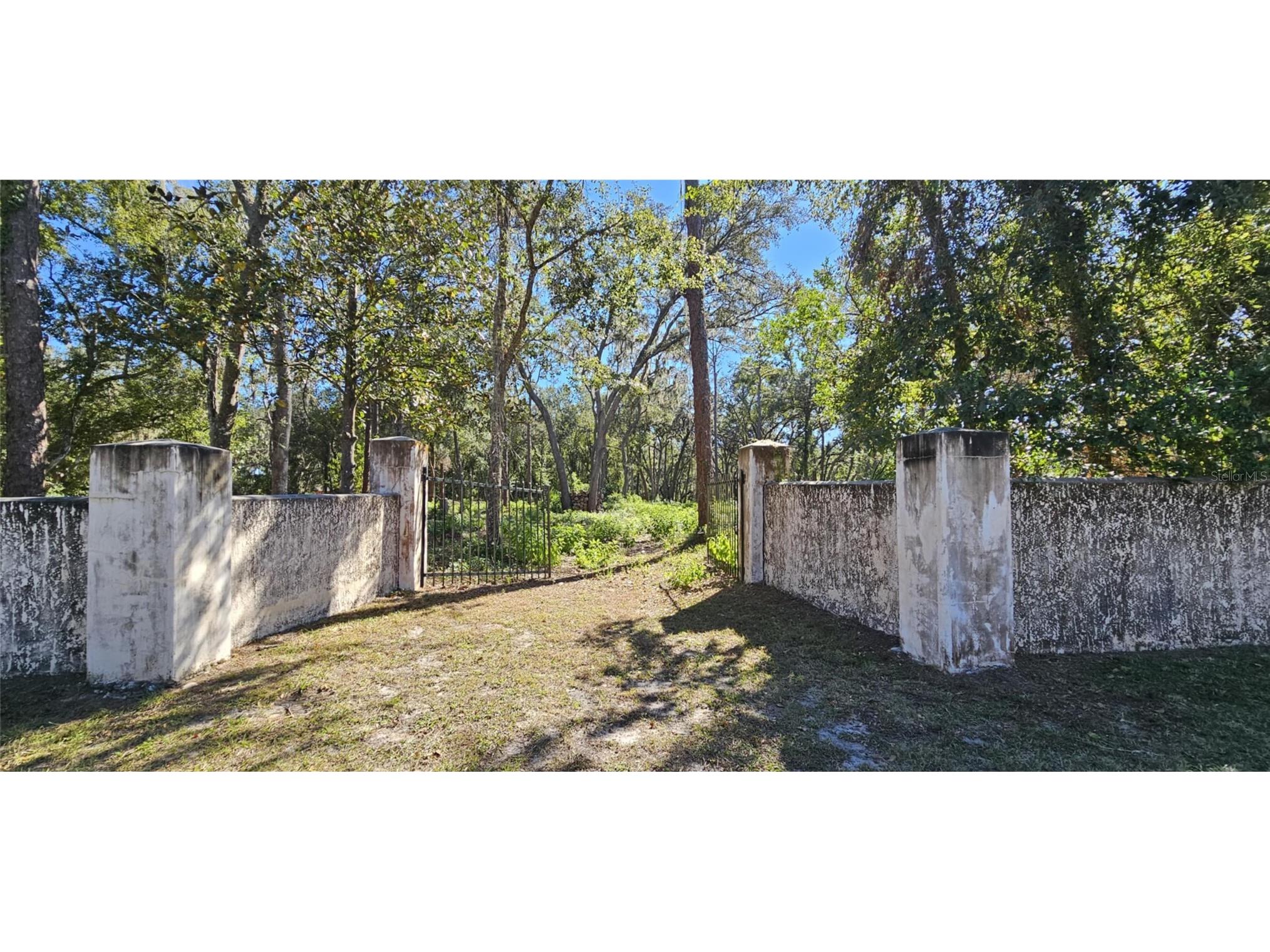 Piermaj Lane Lutz FL 33549 TB8492829 image8