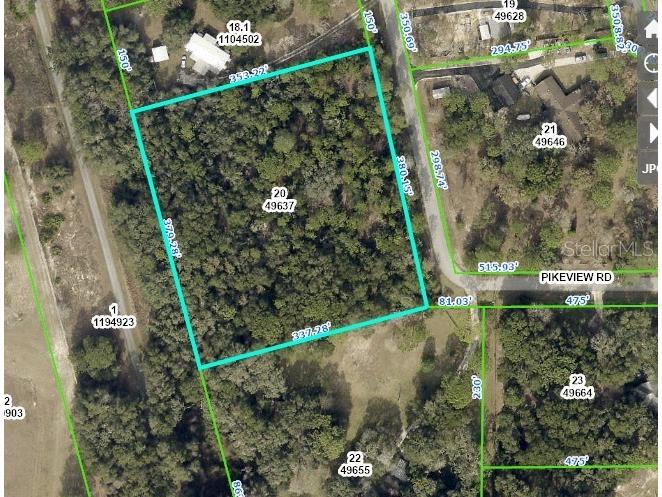 Pikeview Road Dade City FL 33523 W7860927 image1