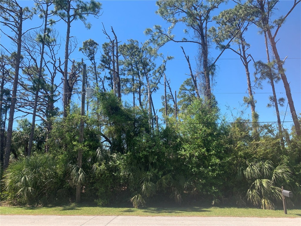 Pincushion North Port FL 34286 C7507366 image1