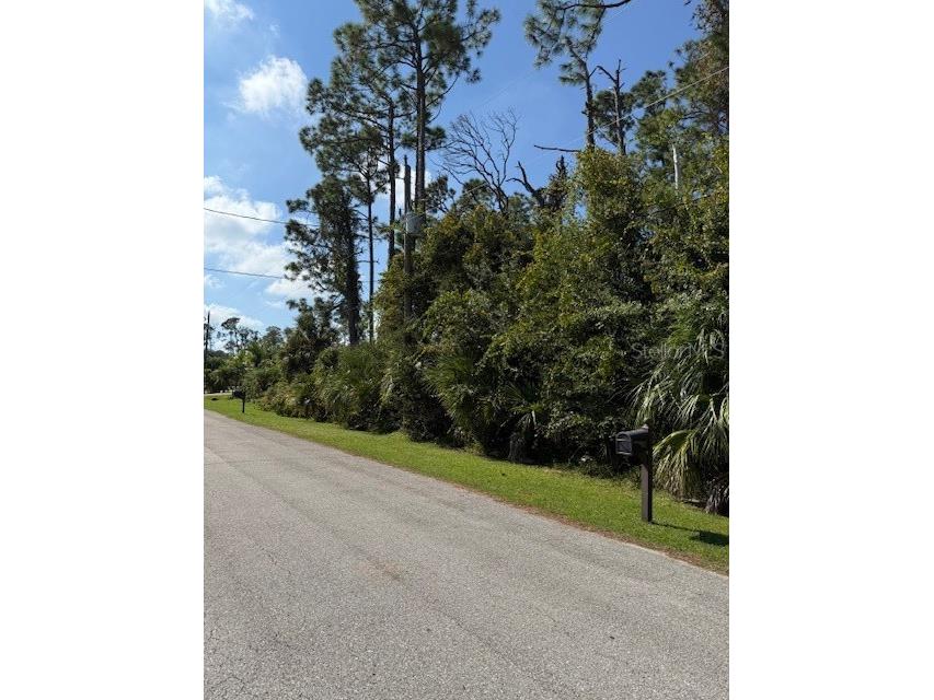 Pincushion Street North Port FL 34286 L4956795 image1