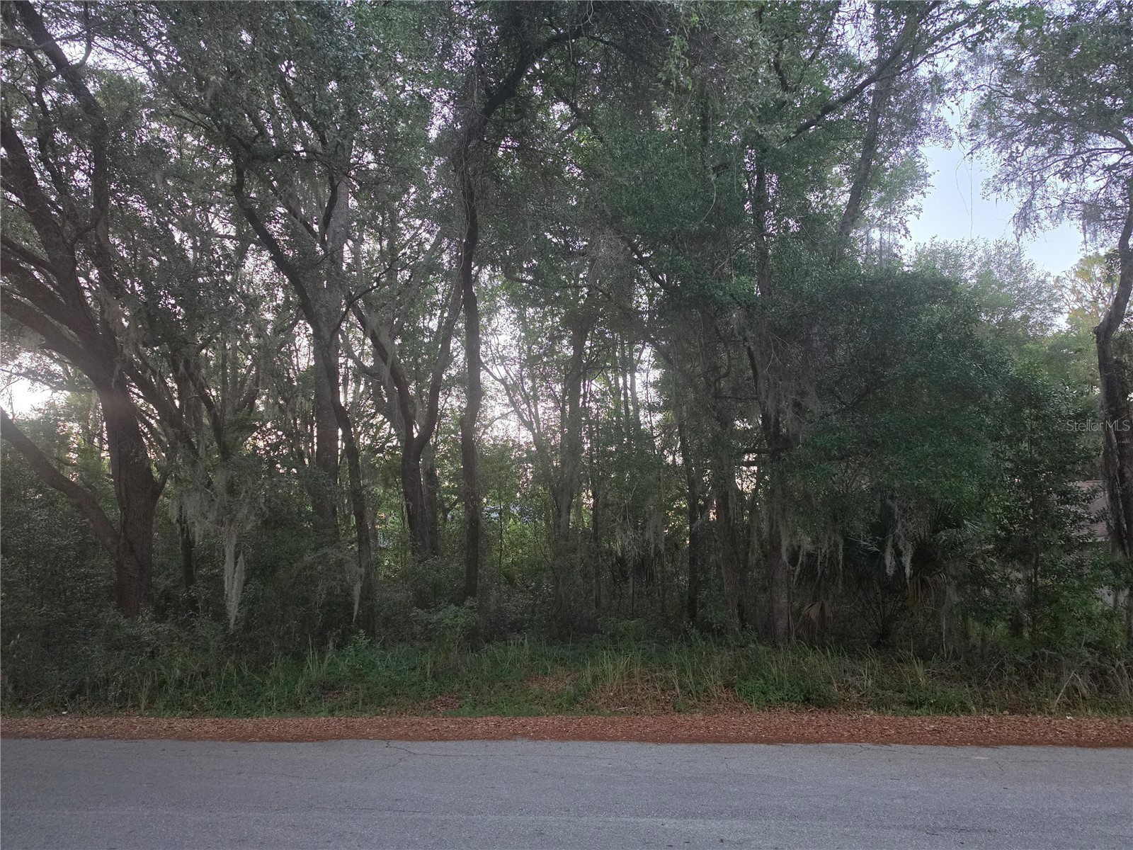 Pine Circle Ocala FL 34472 OM726009 image3