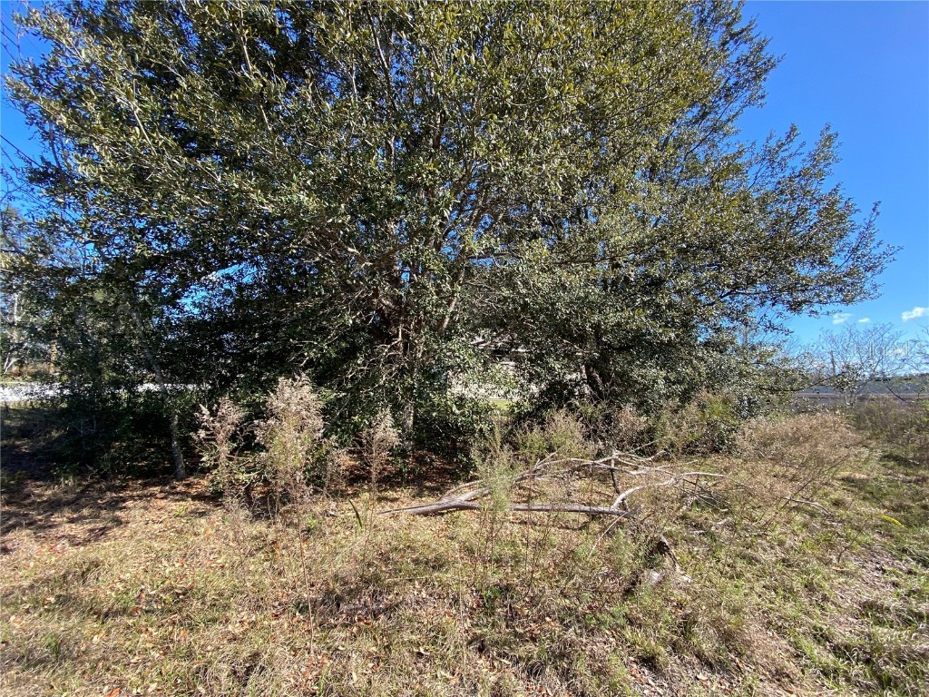 Pine Course Ocala FL 34472 G5068371 image1