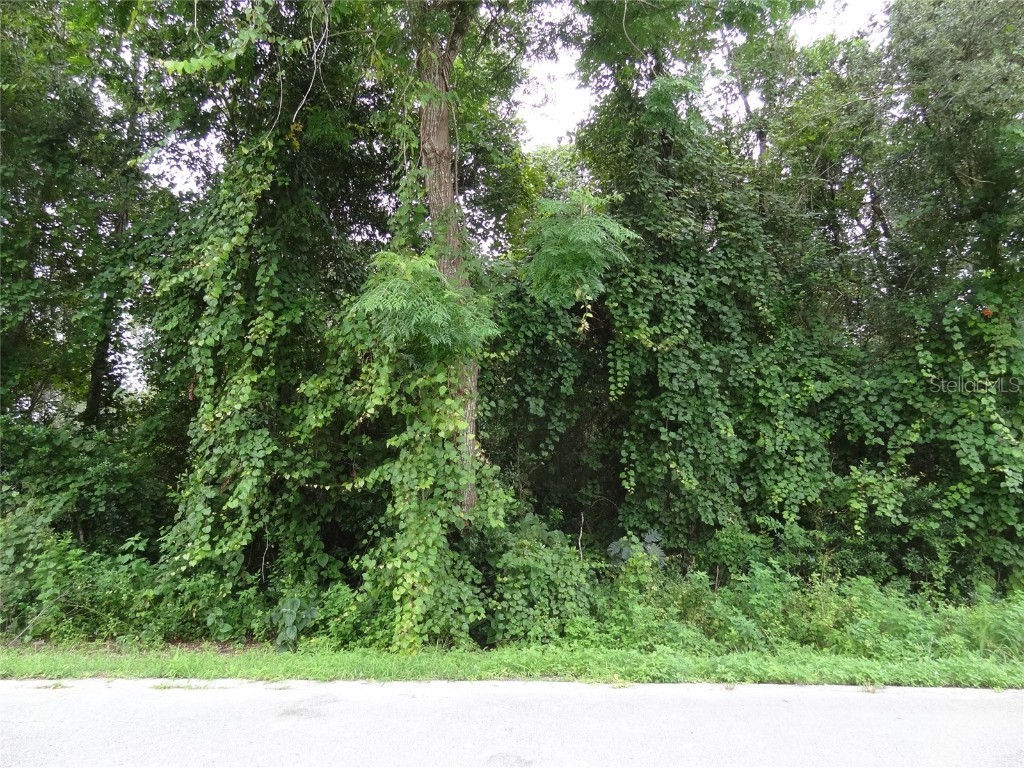 Pine Drive Deland FL 32720 G5068938 image1