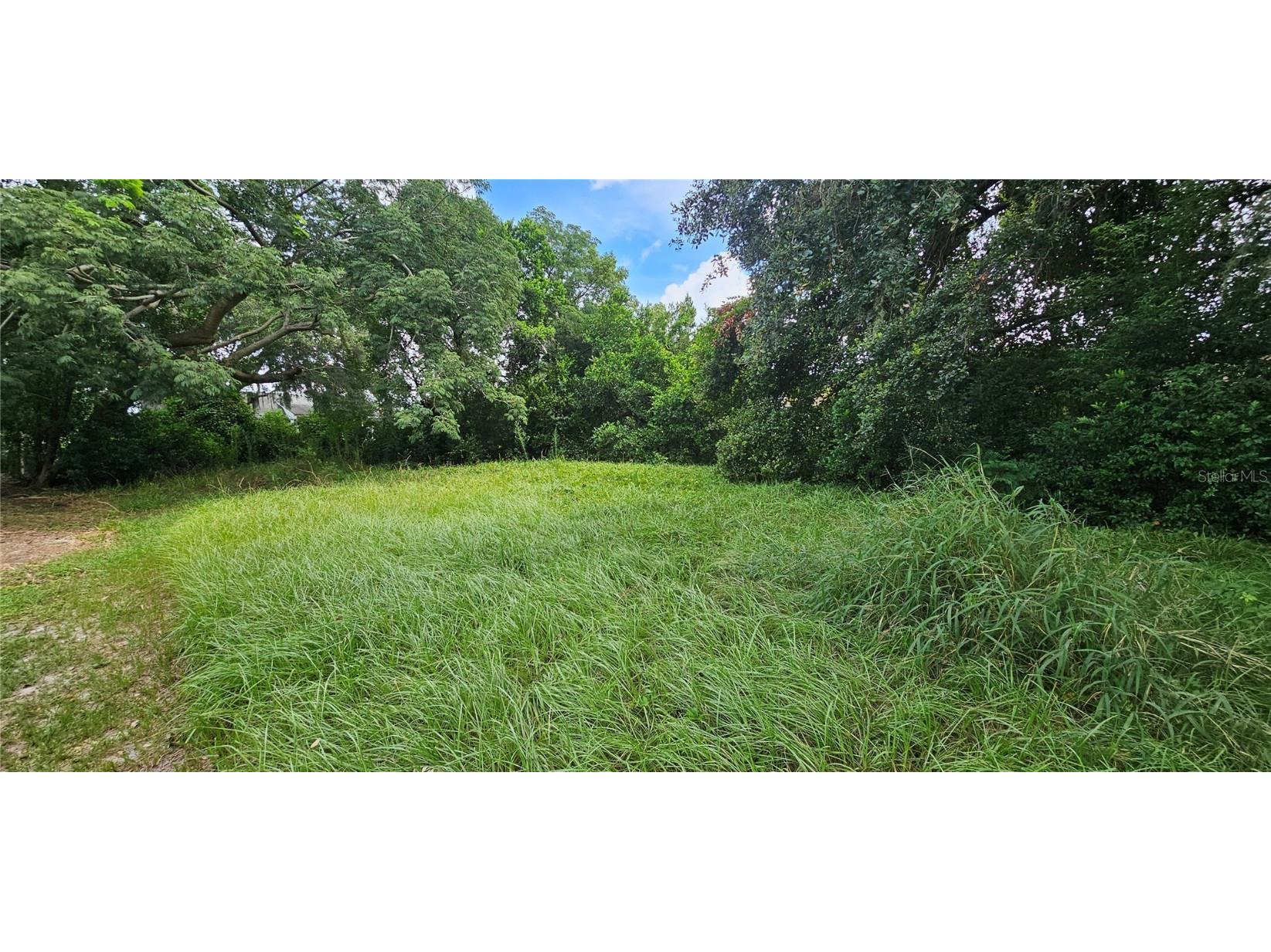 Pine Island Drive Leesburg FL 34788 - LAKE EUSTIS O6347919 image1