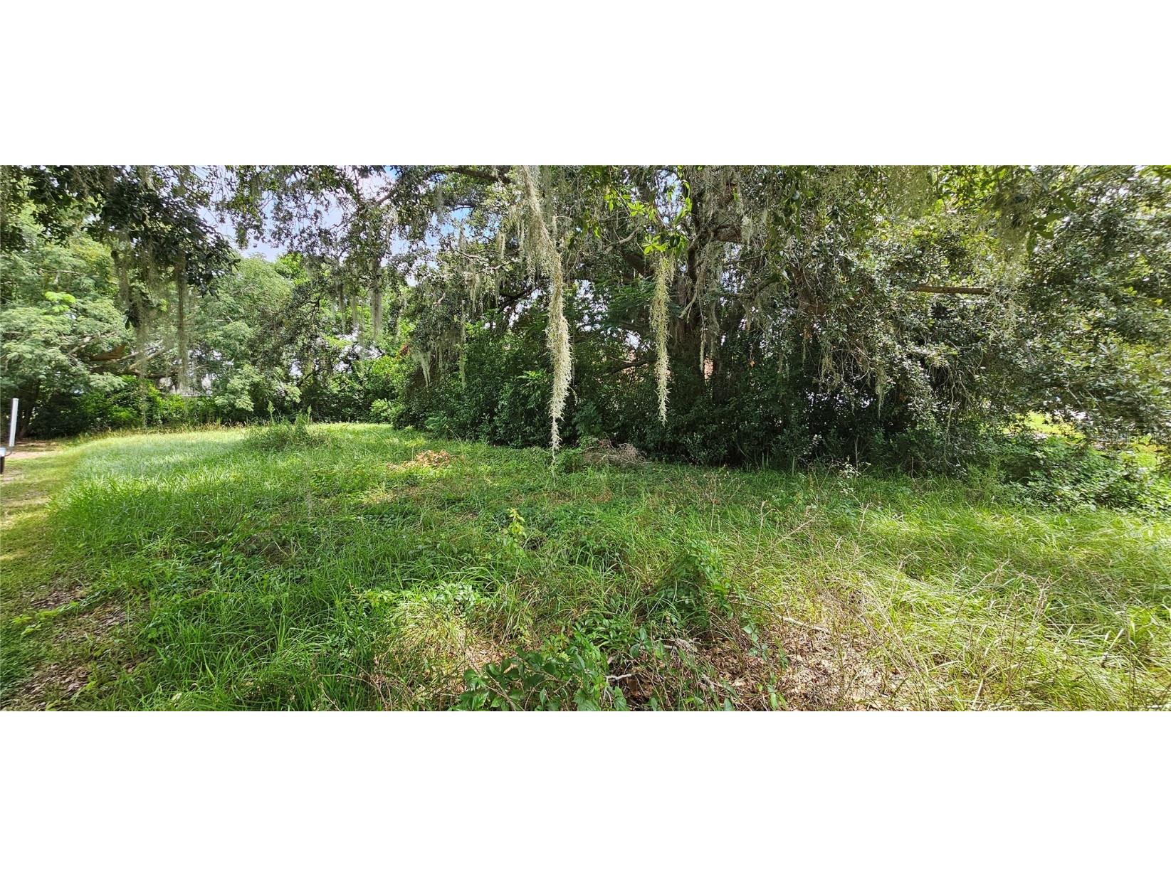 Pine Island Drive Leesburg FL 34788 - LAKE EUSTIS O6347919 image2