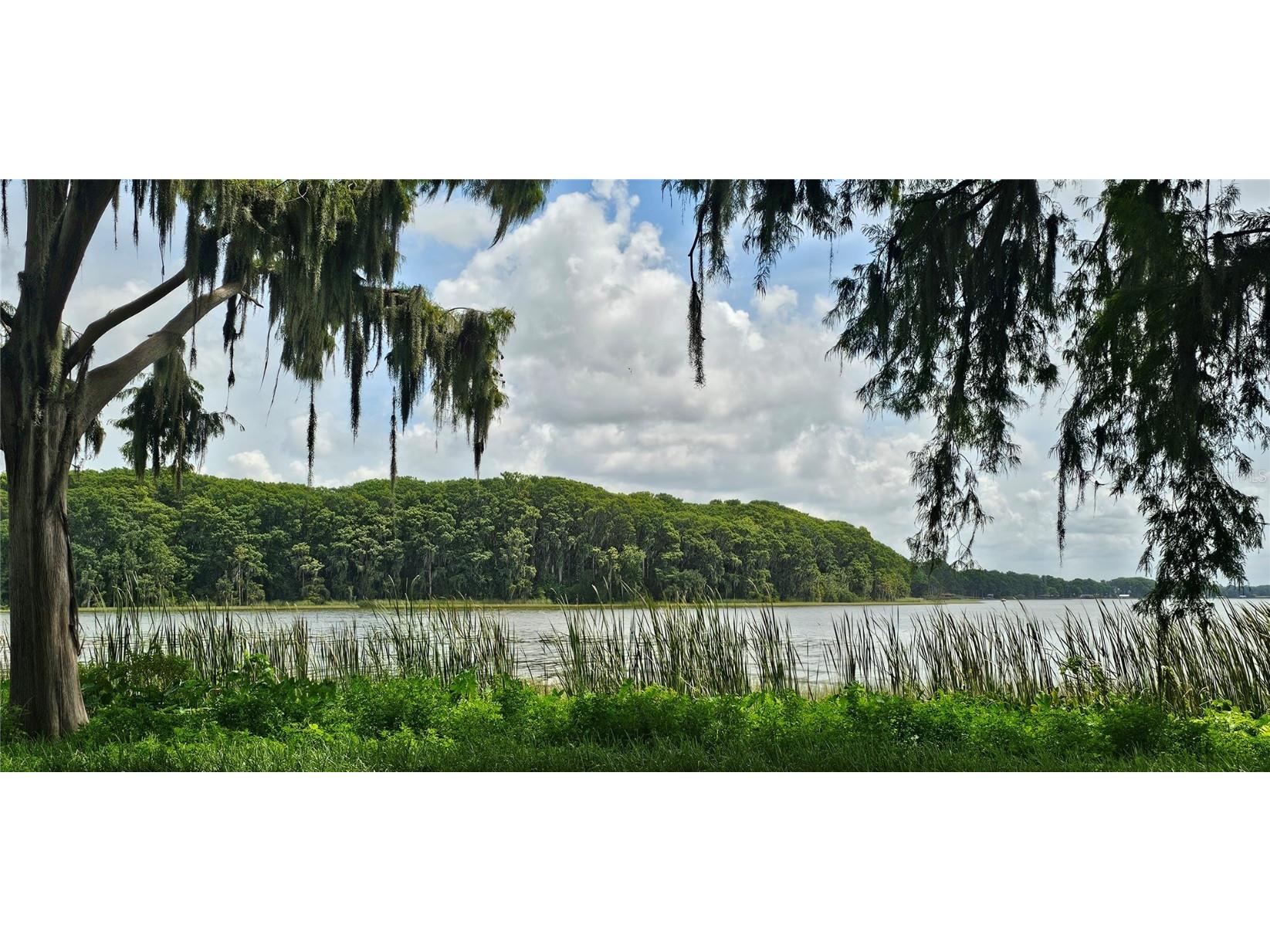 Pine Island Drive Leesburg FL 34788 - LAKE EUSTIS O6347919 image3