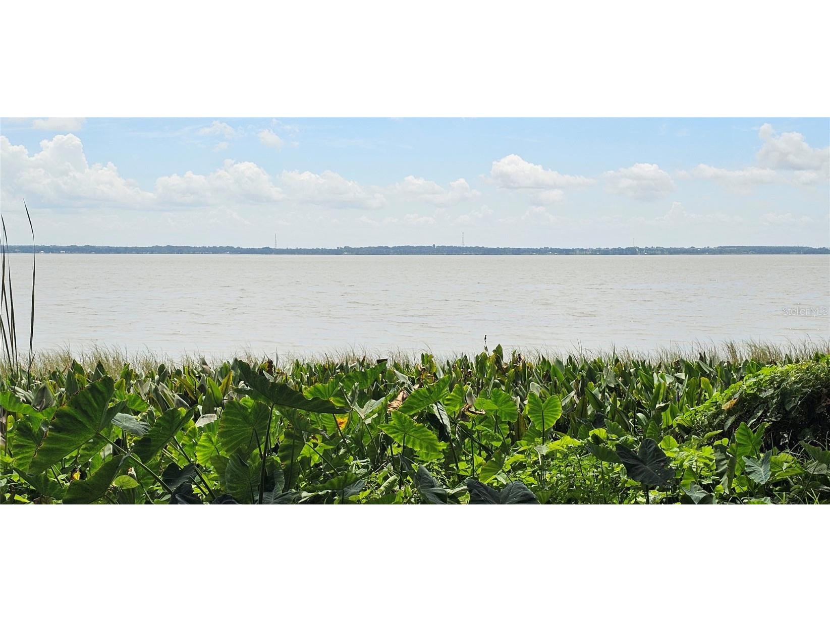 Pine Island Drive Leesburg FL 34788 - LAKE EUSTIS O6347919 image5