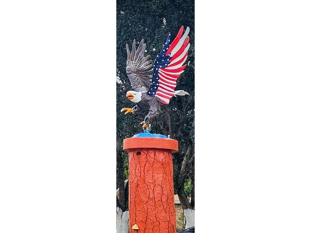 Pine Island Drive Leesburg FL 34788 - LAKE EUSTIS O6347919 image7