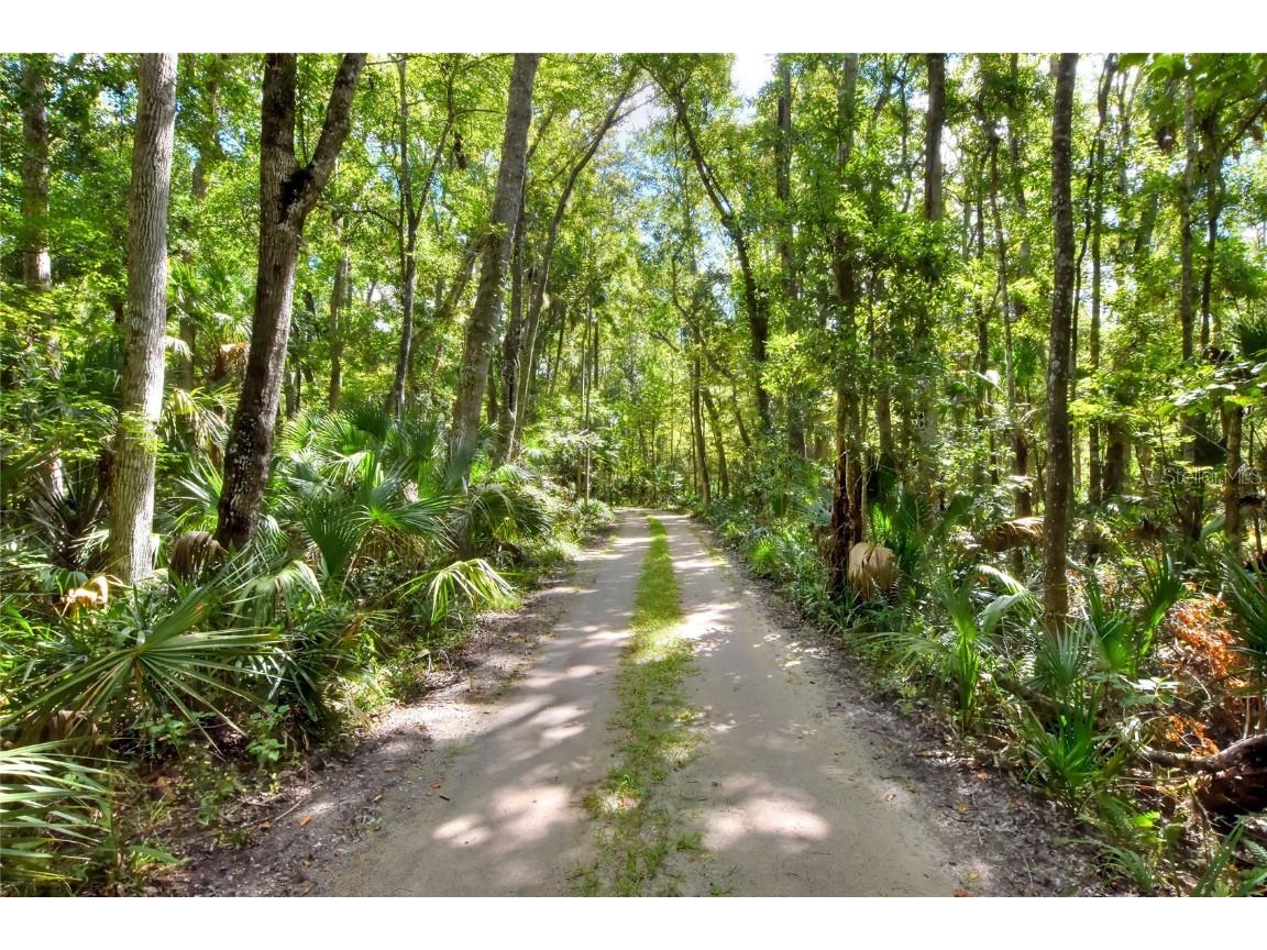 Pine Island Drive Weeki Wachee FL 34613 TB8438921 image1