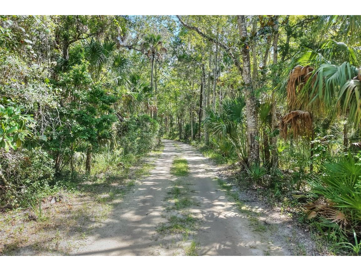 Pine Island Drive Weeki Wachee FL 34613 TB8438921 image10