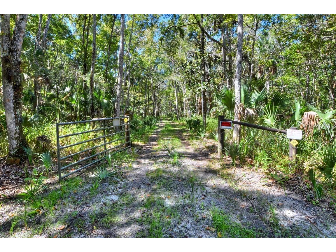 Pine Island Drive Weeki Wachee FL 34613 TB8438921 image11