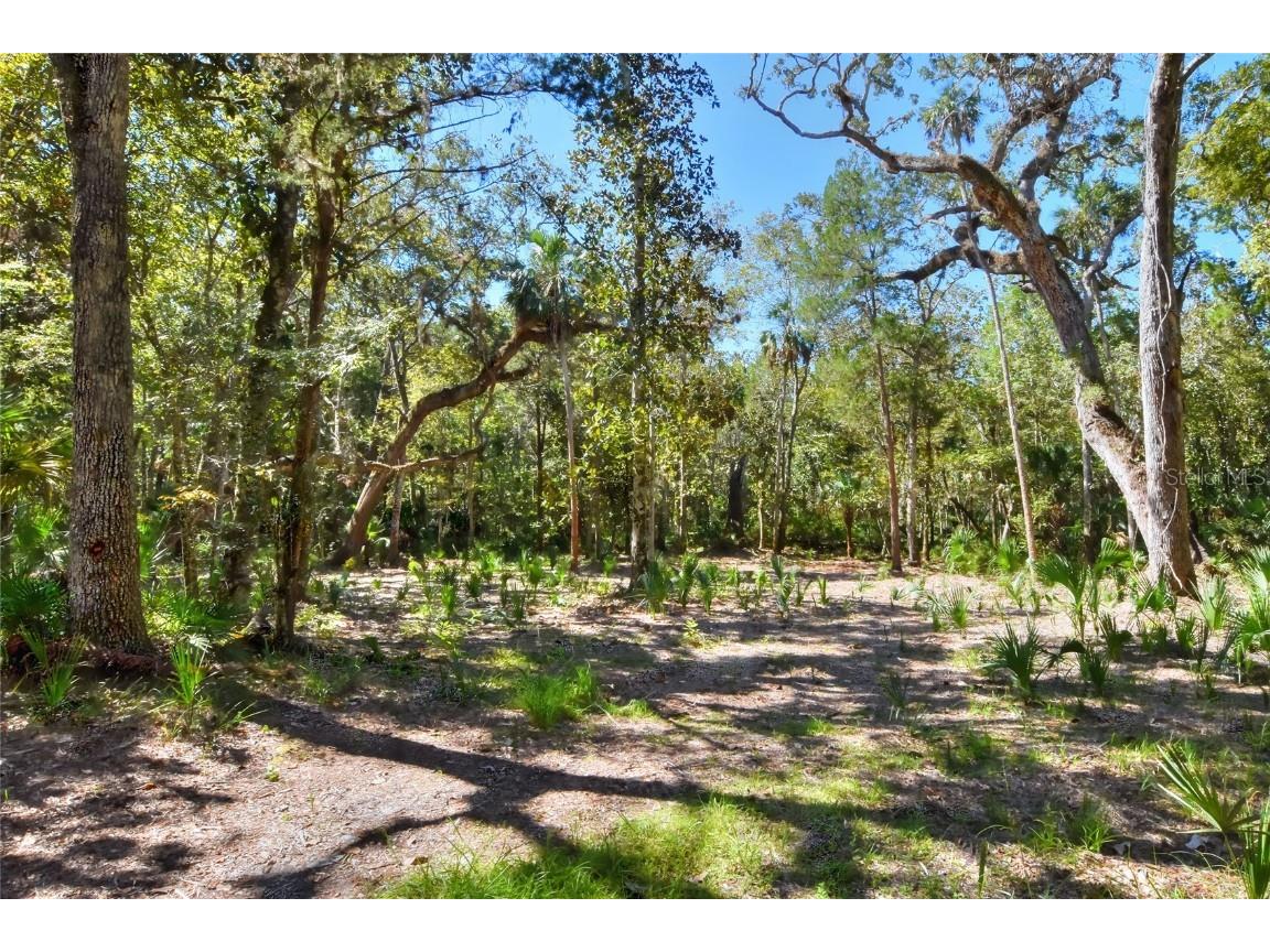 Pine Island Drive Weeki Wachee FL 34613 TB8438921 image12