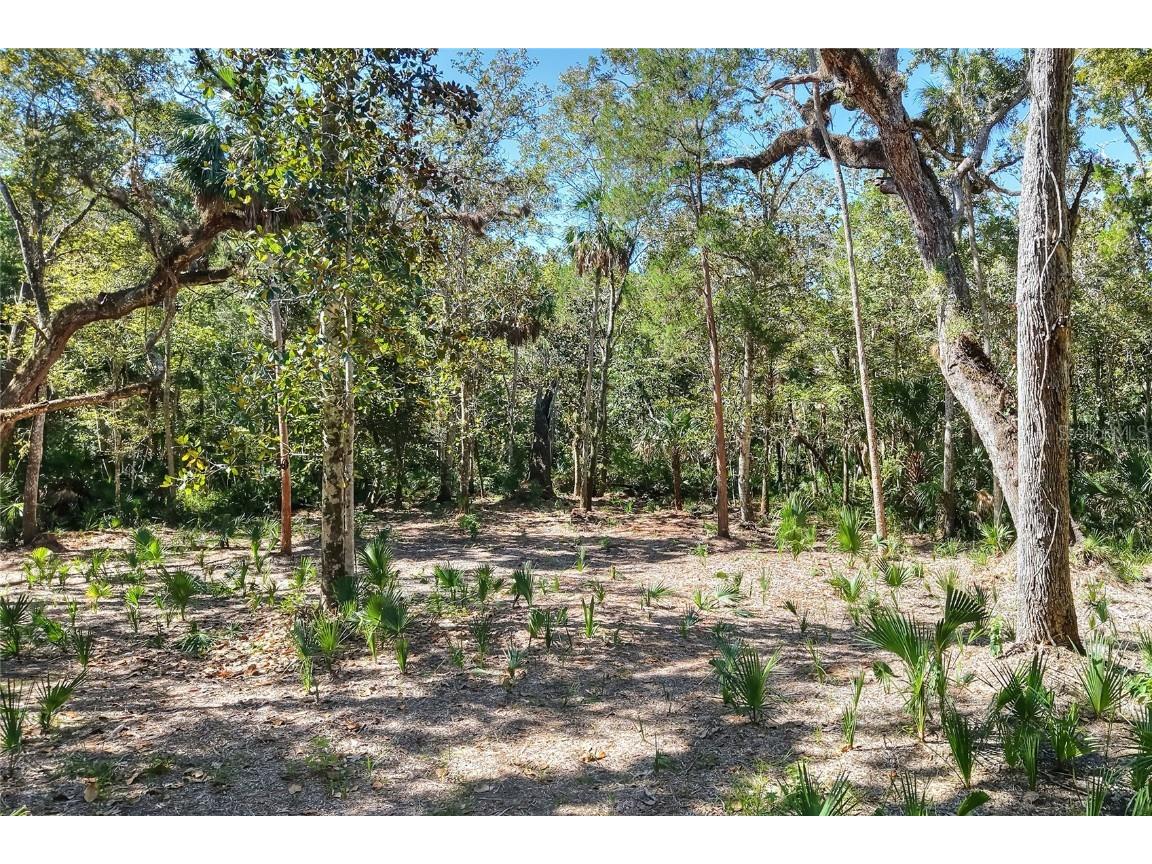 Pine Island Drive Weeki Wachee FL 34613 TB8438921 image13